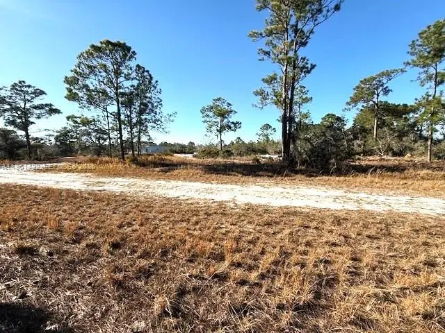 547 Branchwood Ave, Lake Placid, FL 33852 - #1