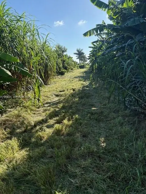 224XX SW 202 Ave, Everglades, FL 33170 - #3