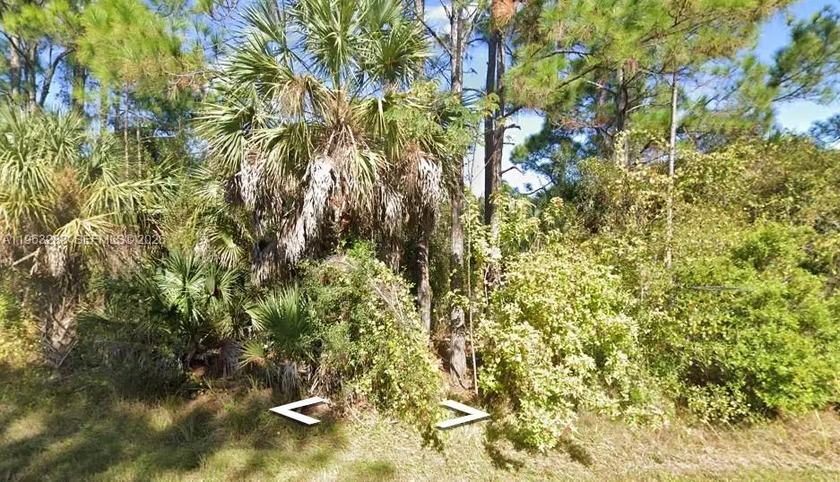 26224 Deer Rd, Punta Gorda, FL 33955 - #1