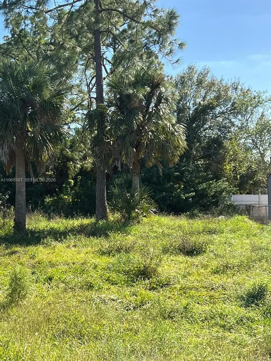 803 W 6th St, Lehigh Acres, FL 33792 - #1