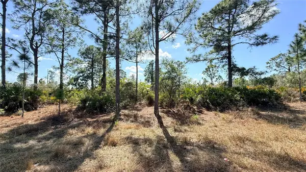 1076 E Bells St, Lehigh Acres, FL 33974