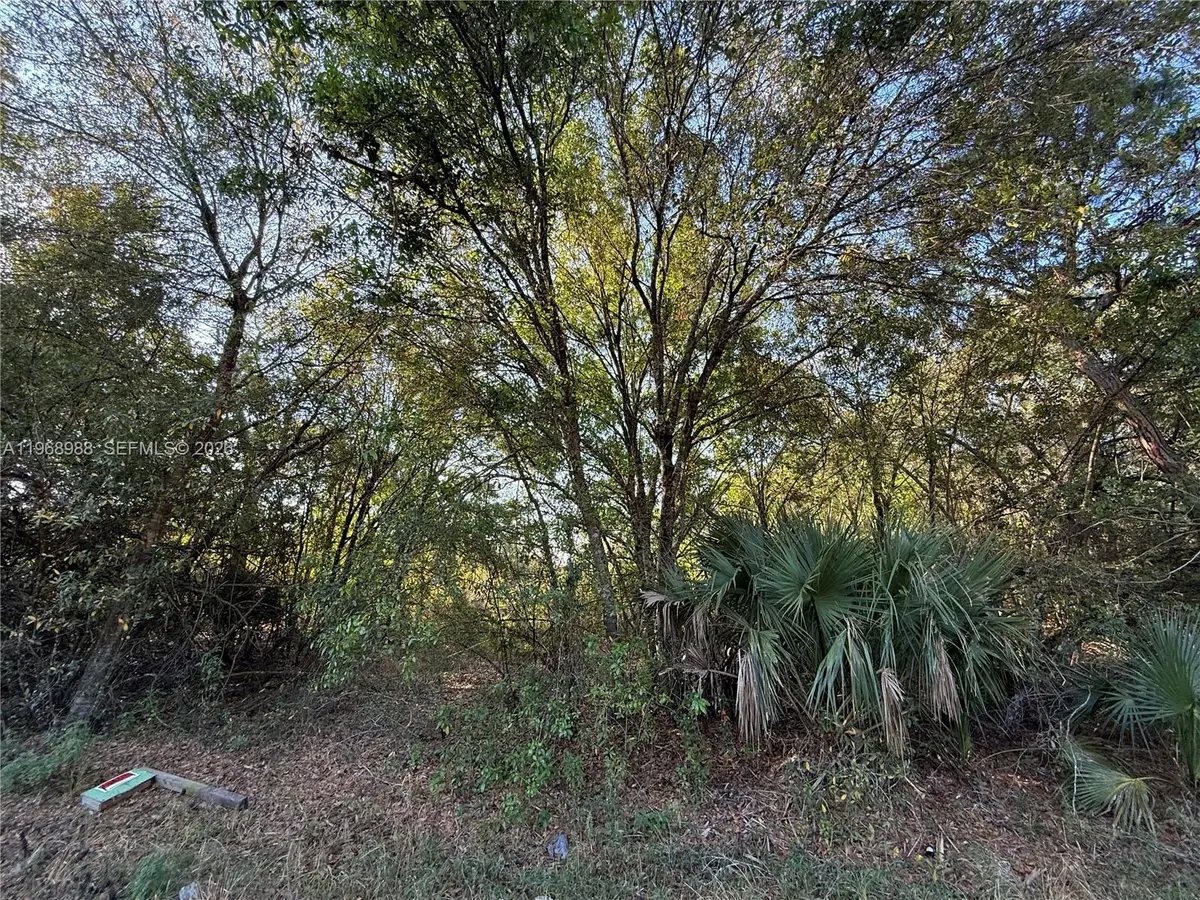 858 Woodland Blvd, Clewiston, FL 33440 - #1