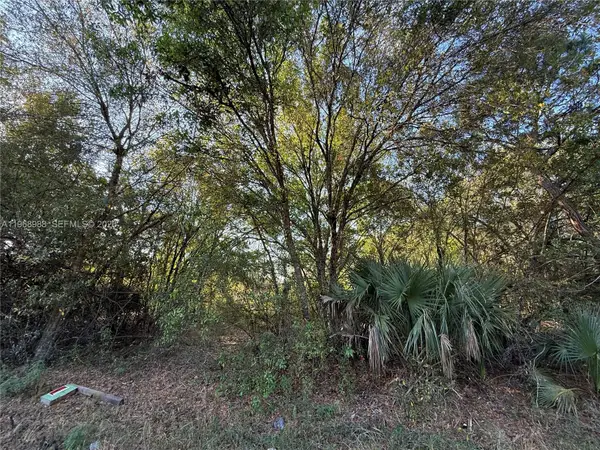 858 Woodland Blvd, Clewiston, FL 33440