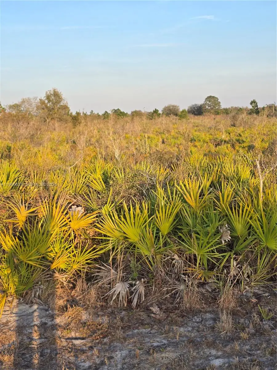 18334 NW 274th Okeechobee, Okeechobee, FL 34972 - #1