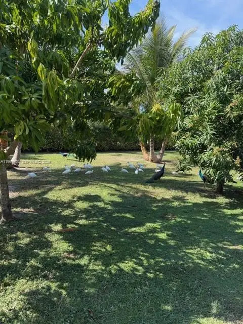 14721 SW 67th Ave, Coral Gables, FL 33158 - #2