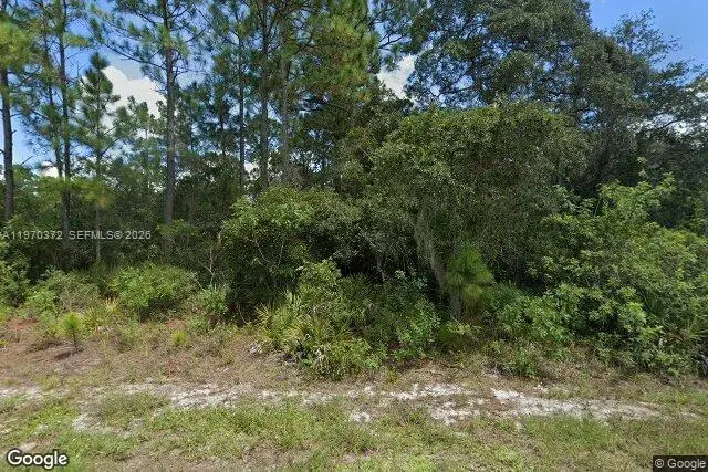 217 Dreamers Dr, Lake Placid, FL 33852 - #1