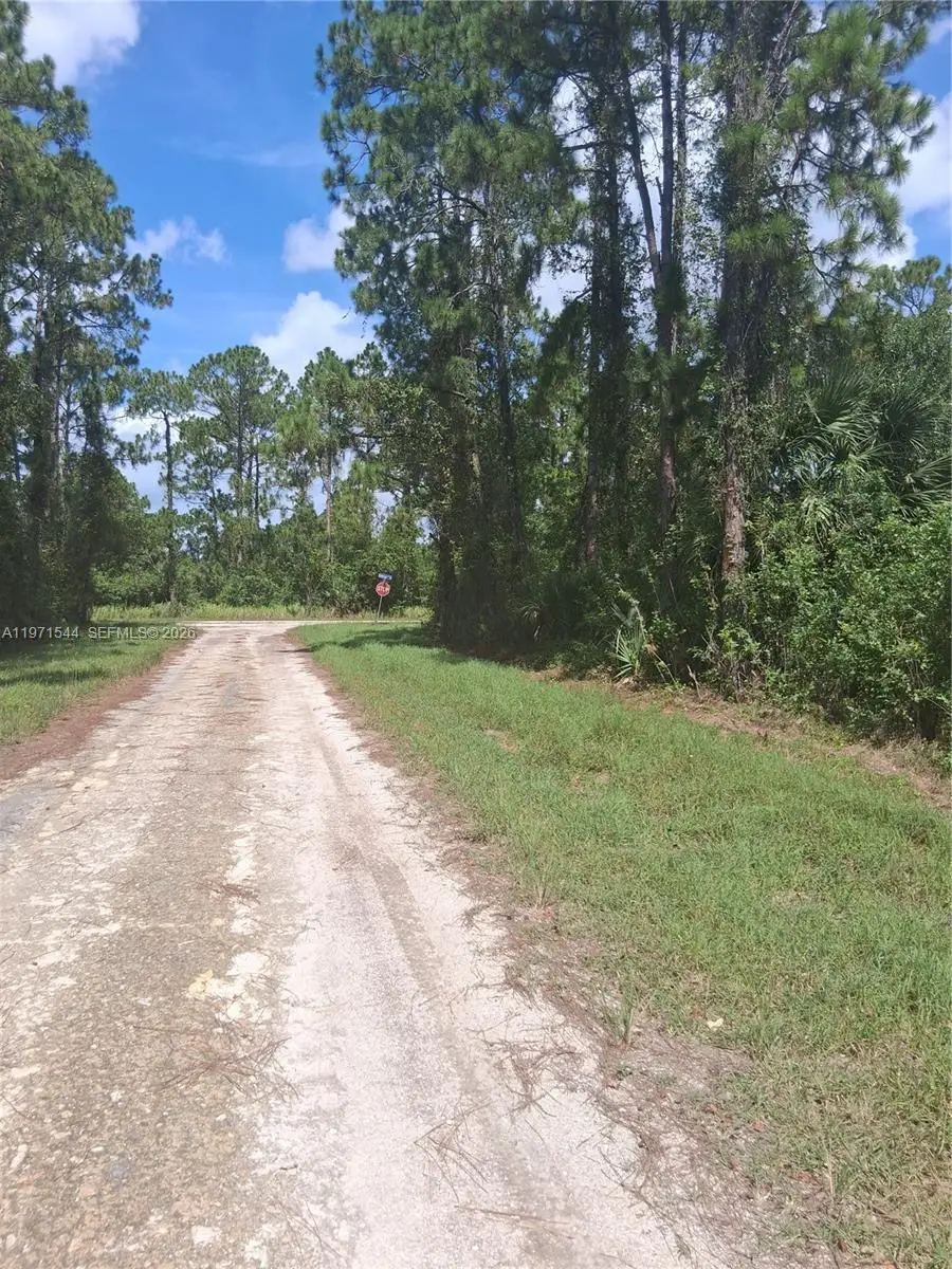 913 Abbey St E, Lehigh Acres, FL 33974 - #3