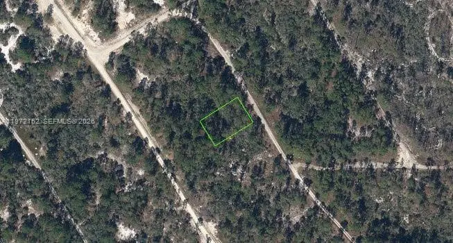 520 Deep River Dr, Lake Placid, FL 33852 - #1