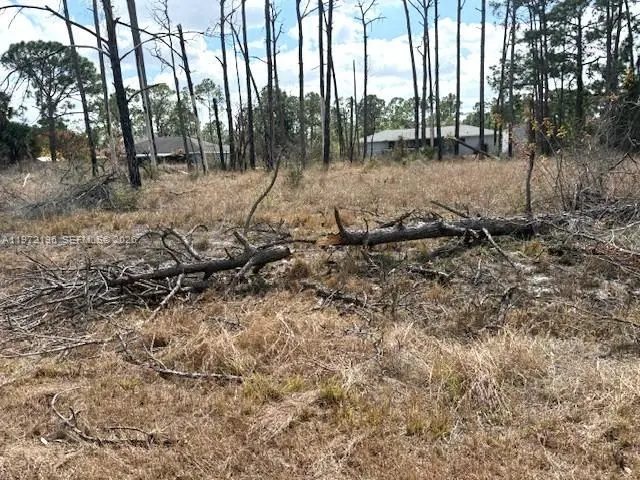 245 Moon River Avenue, Sebring, FL 33852 - #2