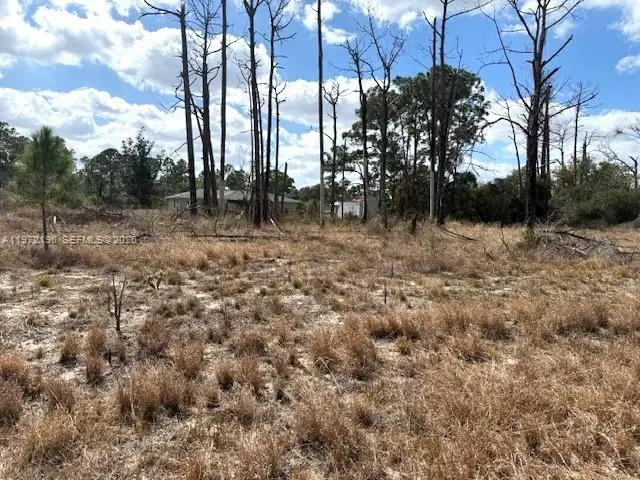 245 Moon River Avenue, Sebring, FL 33852 - #3