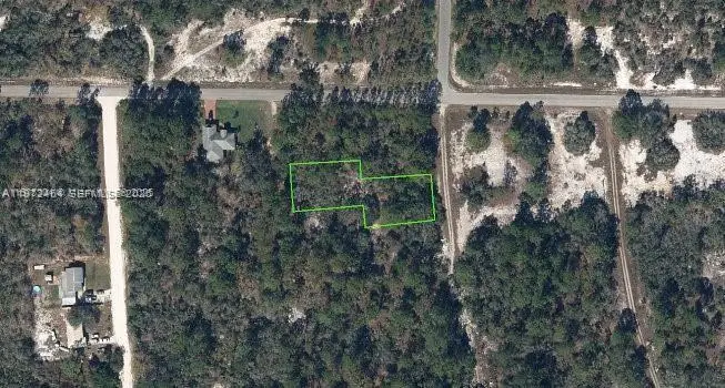 405 Blue Horizon, Lake Placid, FL 33852 - #1