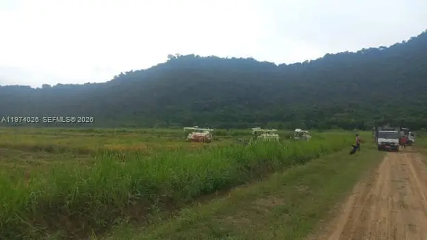 KM 40 Via Naranjal-guayas, Grant, OS  - #2
