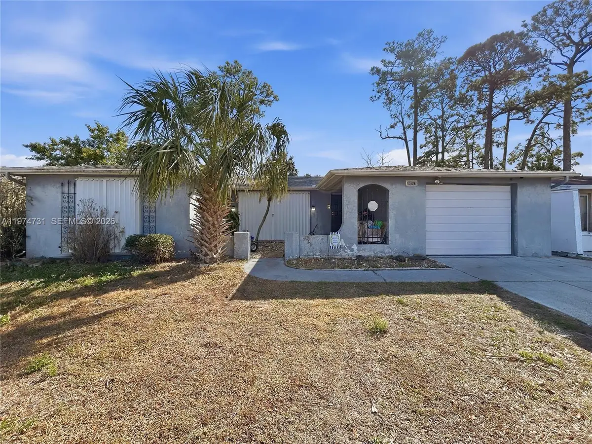 10028 Freestone Ln, Jasmine Estates, FL 34668 - #1