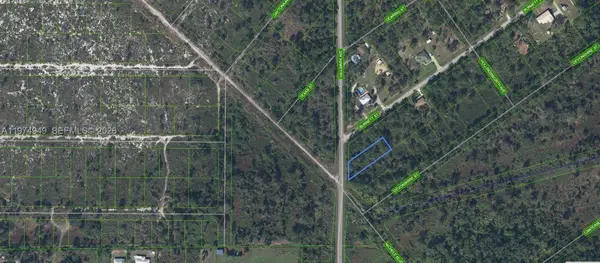 505 Hallmark Avenue, Lake Placid, FL 33852