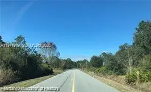 505 Hallmark Avenue, Lake Placid, FL 33852 - #3