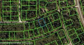 3238 Dean Avenue, Lake Placid, FL 33852 - #2