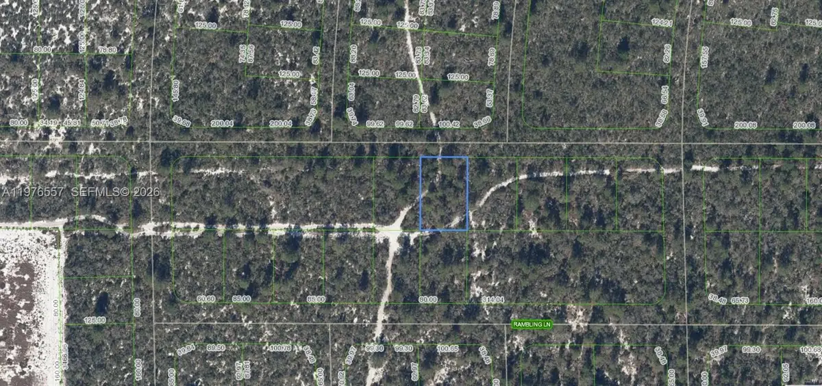 437 Souvenir Lane, Lake Placid, FL 33852 - #1
