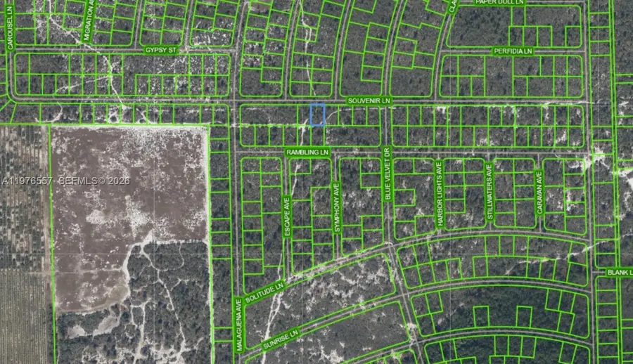 437 Souvenir Lane, Lake Placid, FL 33852 - #2