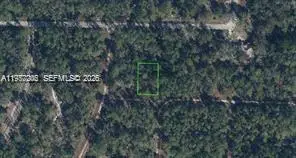 3215 Delafield, Lake Placid, FL 33852 - #1