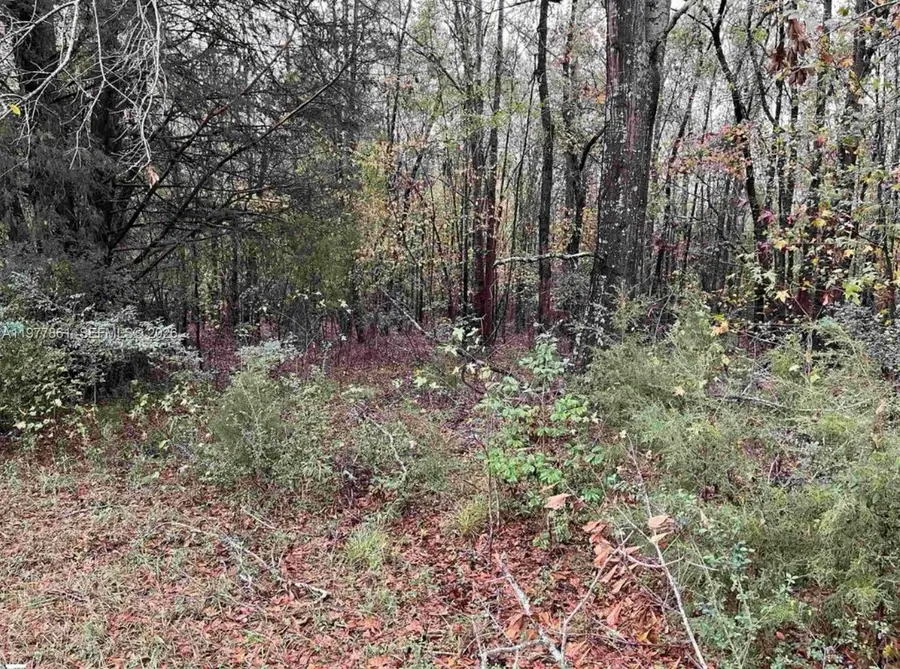 0 Evergreen Church Rd, ,, SC 29684 - #3
