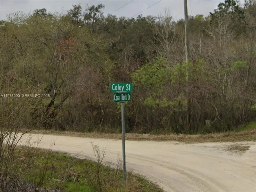 0 Coley St, Webster, FL 33697 - #2