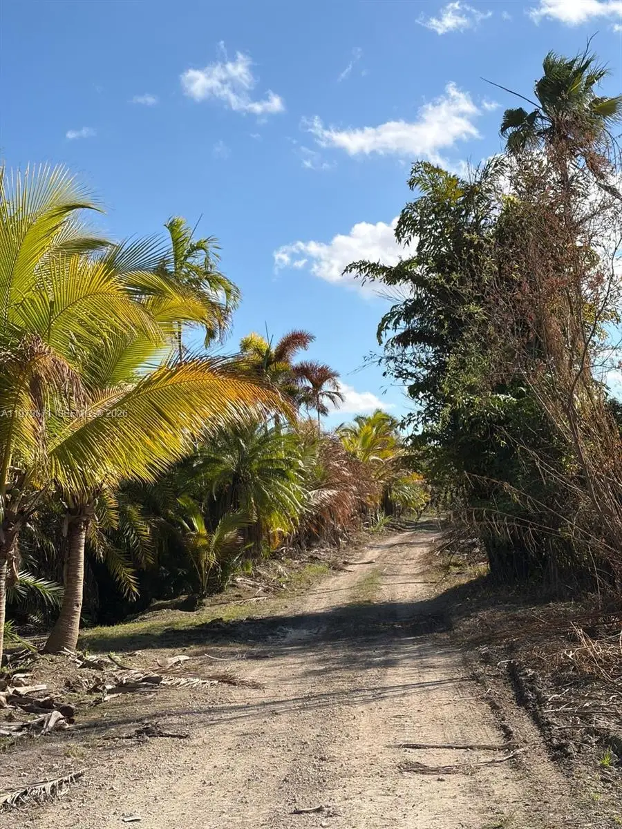 406 St & 212 Avenue 406 St & 212 Avenue, Florida City, FL 33034 - #3