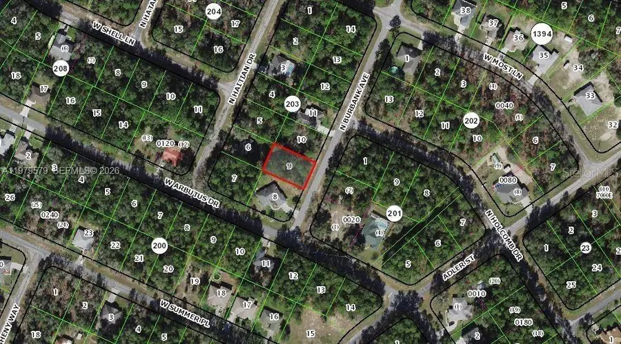 10684 N Burbank Ave, Citrus Springs, FL 34434 - #2