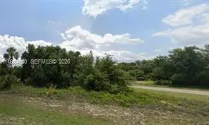 Lot #8 Jabara Lane, Other, FL 33935