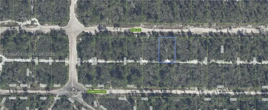 637 Quail Avenue, Sebring, FL 33872 - #3