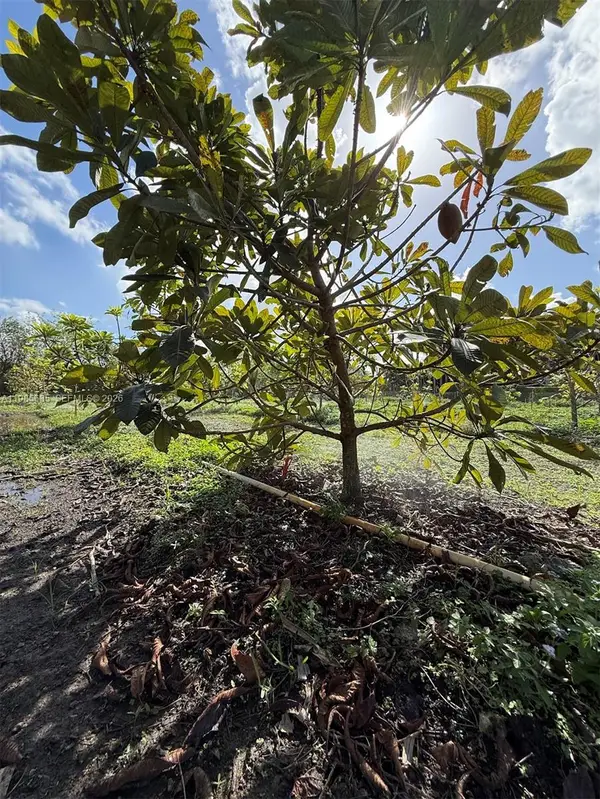 16455 SW 207, Homestead, FL 33187