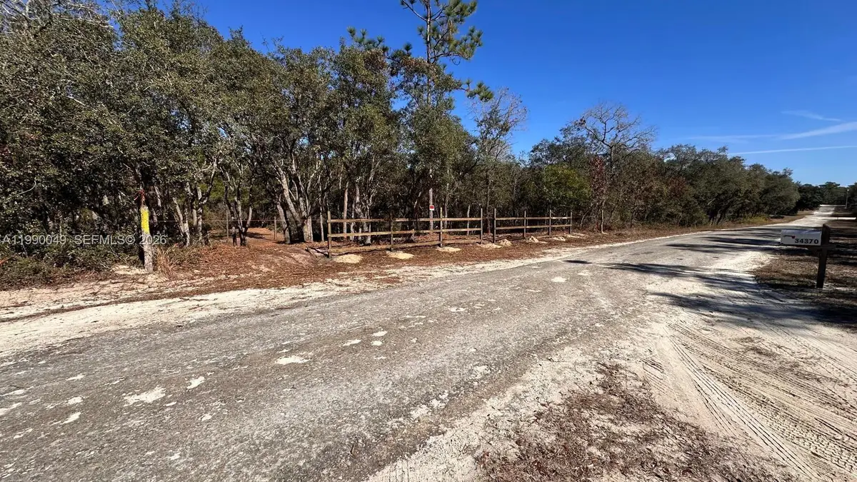 34349 Manuel St, Webster, FL 33597 - #1