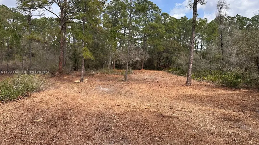 34349 Manuel St, Webster, FL 33597 - #3