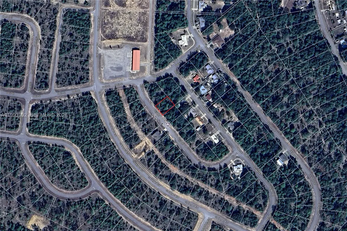 Olive PL Lot 6 Blk 166 Sunny Hills, Sunny Hills, FL 32428 - #1