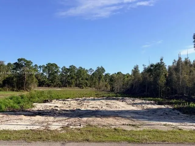 870 E Arturo St, Lehigh Acres, FL 33974 - #2