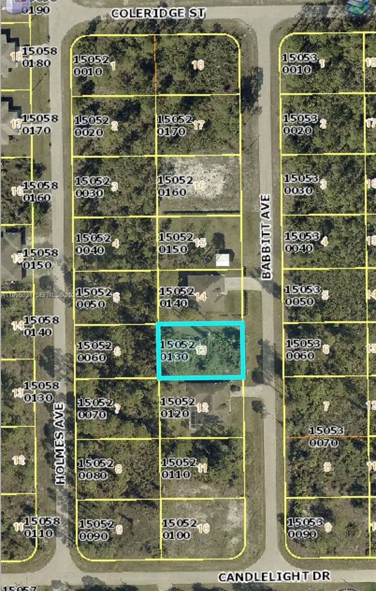 858 Babbit Ave, Lehigh Acres, FL 33974 - #3