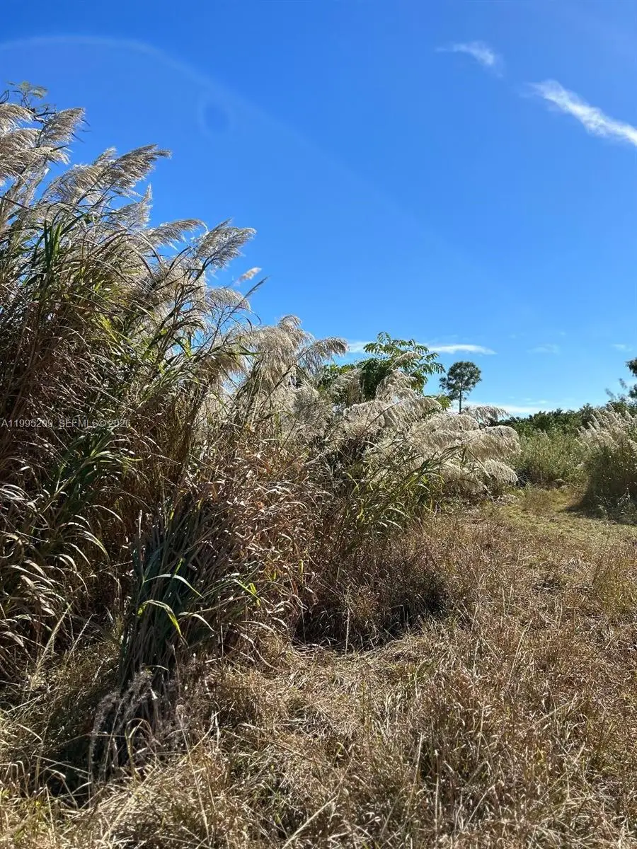 21861 Sw 112th Ct, Goulds, FL 33170 - #2