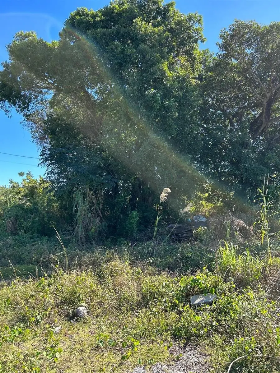 21820 Sw 112thct, Goulds, FL 33170 - #3