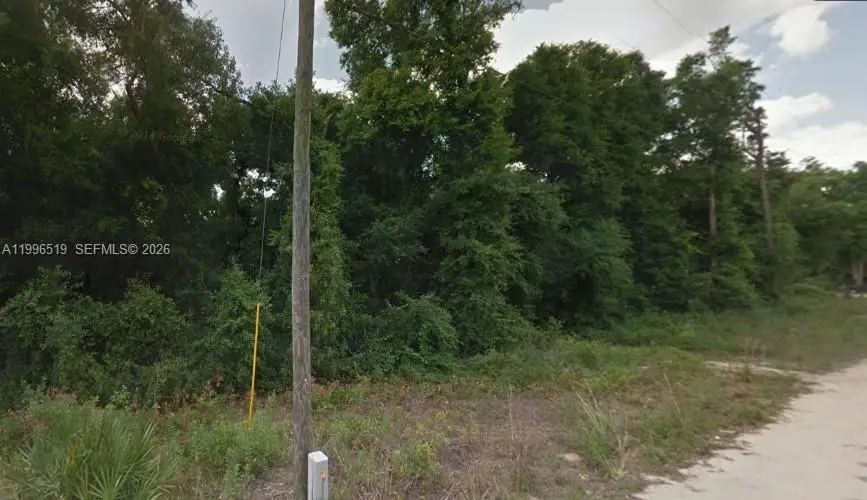 17809 SE 11 Ln, East Marion, FL 34488 - #1