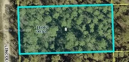 1120 Lincoln Ave, Lehigh Acres, FL 33972