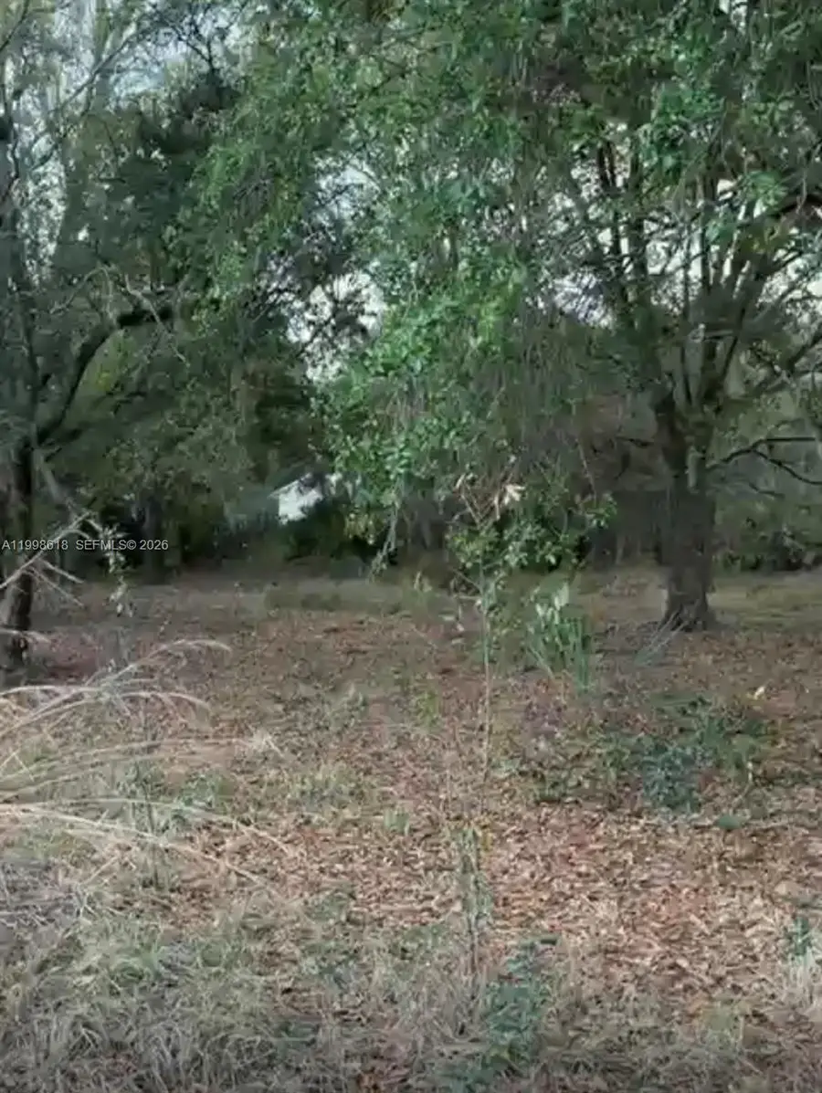 10800 S Jefferson Ave, Lake Placid, FL 33852 - #2