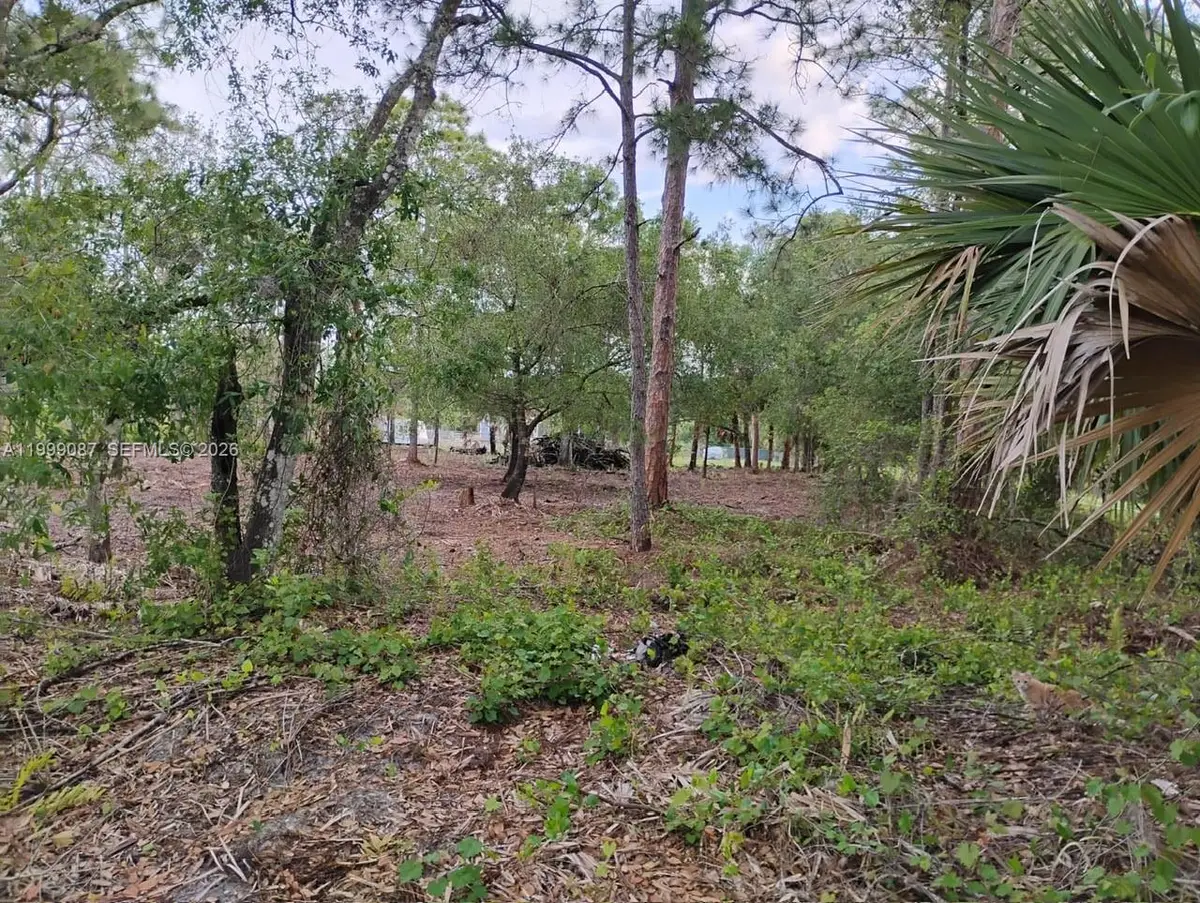 845 Appaloosa Avenue, Clewiston, FL 33440 - #1
