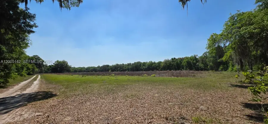 0 SE 225th Dr, Hawthorne, FL 32640 - #3