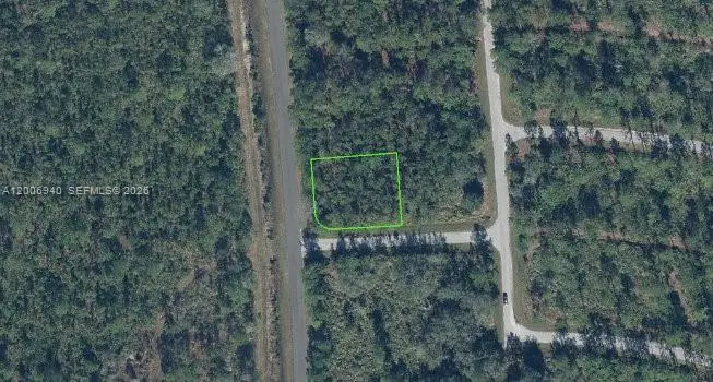 8600 Trionfo St, Sebring, FL 33872 - #1