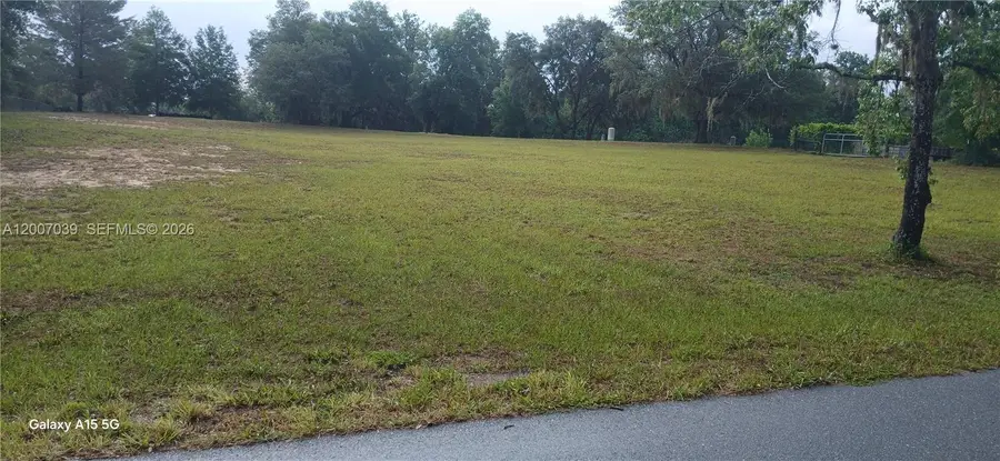 10233 S Appaloosa Ave, Floral City, FL 34436 - #2
