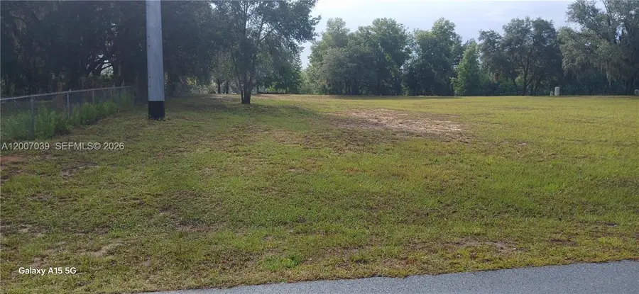10233 S Appaloosa Ave, Floral City, FL 34436 - #3