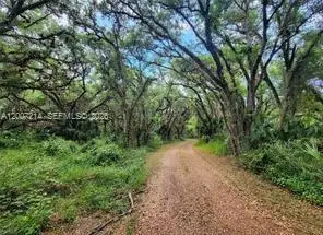 1040 Kirby Thompson Rd, Other, FL 33935