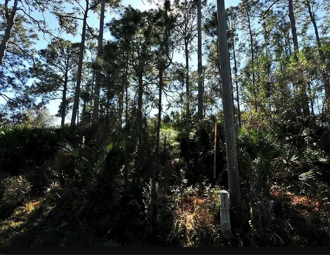2899 Alling, North Port, FL 34286 - #1