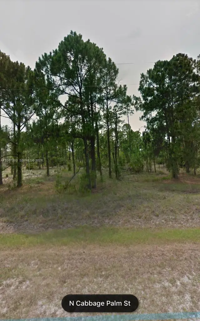 470 N Cabbage Palm St, Clewiston, FL 33440 - #2