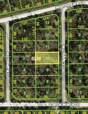 13347 Cappy Ter, Punta Gorda, FL 33955