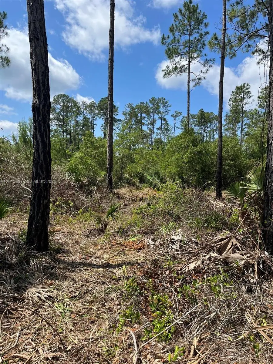 117 Lodge Pole Cir, Georgetown, FL 32139 - #1